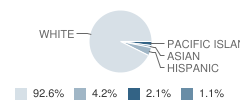 Lyndeborough Central School Student Race Distribution