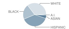 Beech Street School Student Race Distribution