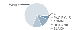 Hillside Middle School Student Race Distribution