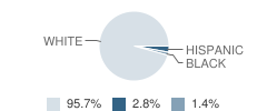 Appleton Elementary School Student Race Distribution