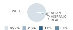 Newport Middle School Student Race Distribution