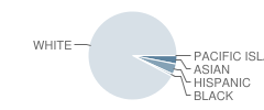 Salem High School Student Race Distribution