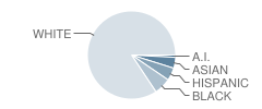 Howell Township (Twp) Memorial Middle School Student Race Distribution