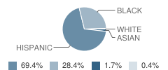 Catto Demonstration School Student Race Distribution