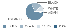 A Hamilton Preparatory Academy Student Race Distribution