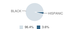 University Elementary School Student Race Distribution