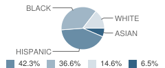 A E  Burling Elementary School Student Race Distribution