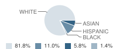 Bernards High School Student Race Distribution