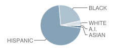 Robert Treat Academy Charter School Student Race Distribution