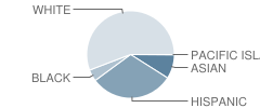 Walter F. Robinson #3 School Student Race Distribution