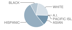 Number 3 School Student Race Distribution