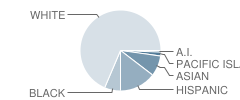 Oak View School Student Race Distribution