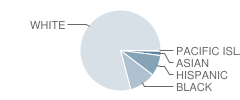 Veterans Mem Elementary School Student Race Distribution