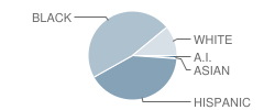 Buckshutem Road School Student Race Distribution