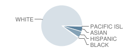 Washington School Student Race Distribution