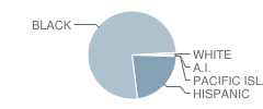 Camden High School Student Race Distribution