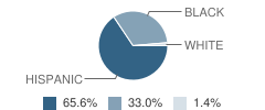 Pyne Poynt Family School Student Race Distribution