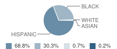 R C Molina Elementary School Student Race Distribution