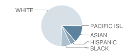 Henry C Beck Middle School Student Race Distribution