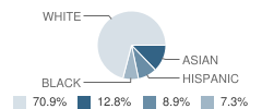 Kingston School Student Race Distribution