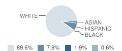 Arthur L. Johnson High School Student Race Distribution