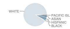 Valley Road School Student Race Distribution