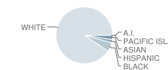 Clearview Regional High School Student Race Distribution