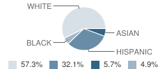 Number 5 School Student Race Distribution