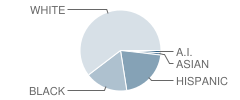 James A Garfield School Student Race Distribution