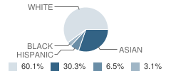 Central School Student Race Distribution