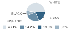 Ethel Mcknight School Student Race Distribution