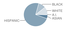 No 12 Elmora School Student Race Distribution