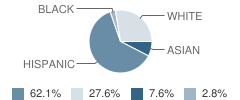 No 21 Victor Mravlag School Student Race Distribution