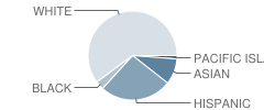 Gantner Avenue School Student Race Distribution