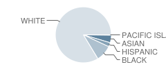 H L Beeler School Student Race Distribution