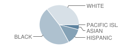 Gilmore J Fisher Middle School Student Race Distribution