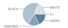 Macafee School Student Race Distribution