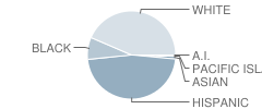 Garfield High School Student Race Distribution