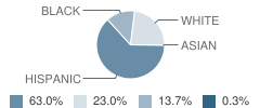 Lincoln School #6 Student Race Distribution