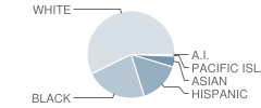 Oakcrest High School Student Race Distribution