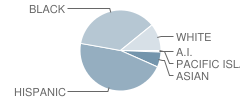 Fairmount School Student Race Distribution