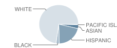 Hatchery Hill School Student Race Distribution