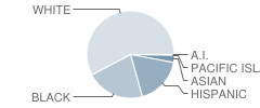 Hamilton West-Watson School Student Race Distribution