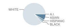 Timberlane Middle School Student Race Distribution