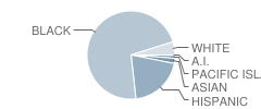 Lincoln School Student Race Distribution