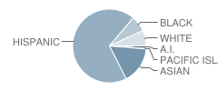 Number 5 School Student Race Distribution