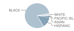 Number 14 School Student Race Distribution