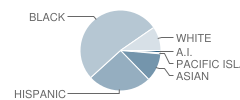 Number 24 School Student Race Distribution