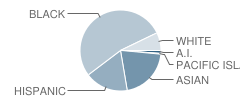 James F Murray 38 School Student Race Distribution