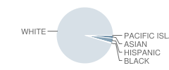 Lanoka Harbor Elementary School Student Race Distribution